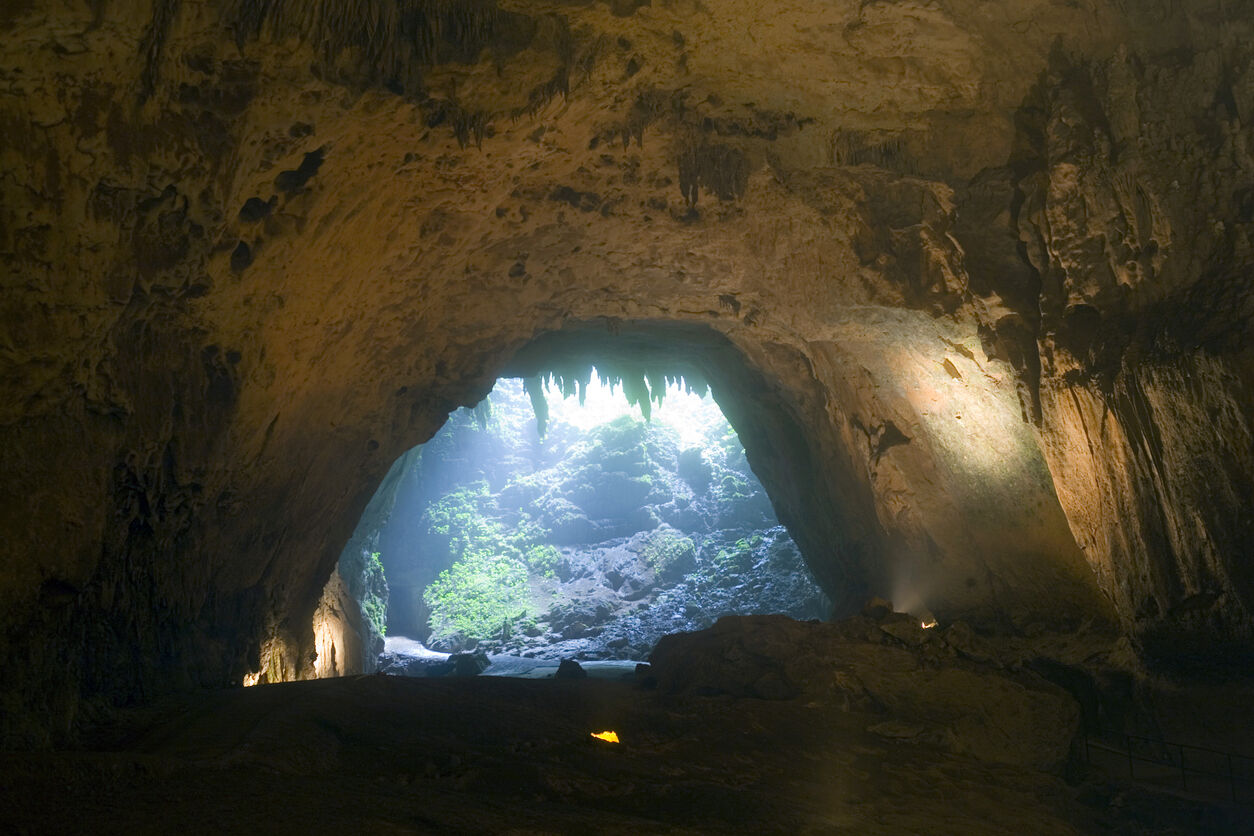 camuy